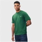 טריקו LACOSTE מכותנת PIMA רק ב149 ש"ח 6