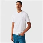 טריקו LACOSTE מכותנת PIMA רק ב149 ש"ח 8